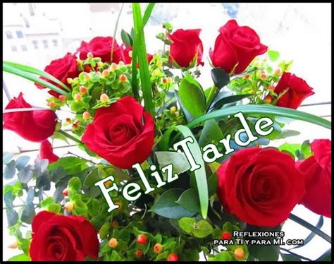 Buenos Deseos Para Ti Y Para MÍ Feliz Tarde Arreglo Rosas Rojas