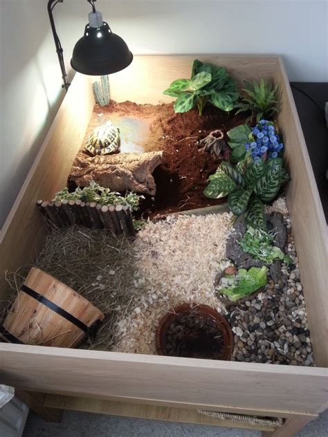 Interesting Sulcata Tortoise Habitat For Outdoor Pet House Ideas Baby