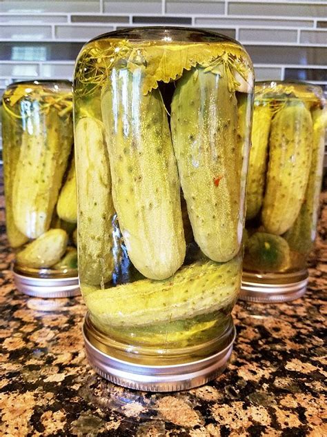 Super Easy Dill Pickles Recipe Perfect For Beginners レシピ