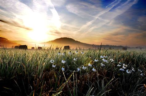 Morning Dew On The Field By Tomsumartin On Deviantart Morning Dew