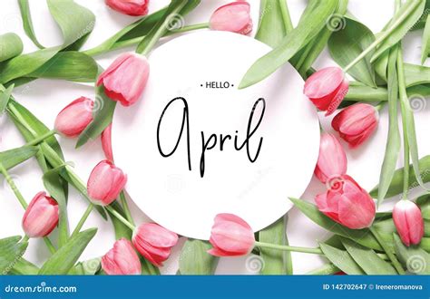 4372 Hello April Photos Free And Royalty Free Stock Photos From Dreamstime