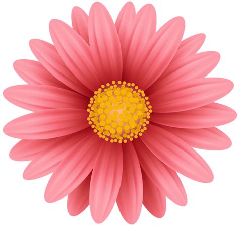 Red Flower PNG Clip Art | Flower border clipart, Flower clipart, Flower clipart png