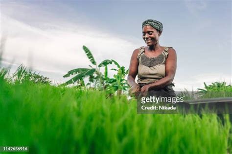 マラウイ共和国 ストックフォトと画像 Getty Images