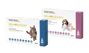 I put revolution plus on my cat this morning. Revolution for Dogs and Cats - Protection You Can Trust ...