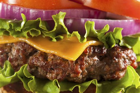 Introducing The Lean Mean Bison Burger The Modern Gladiator