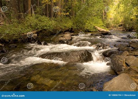 Rushing Creek Stock Photo Image Of Creek Sierra Fall 10806194