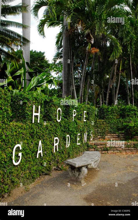 Hope Botanical Gardens Jamaica Hi Res Stock Photography And Images Alamy