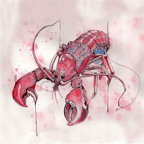 Lobster Lobster Art Fish Art Drawing Inspiration