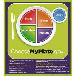MyPlate Laminated Poster With Key Phrases 20 In X 18 In