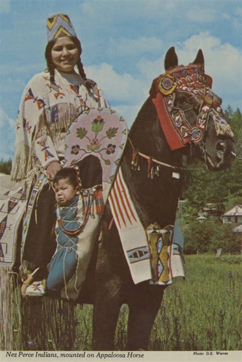 nez perce native americans and the incredible appaloosa idaho histories