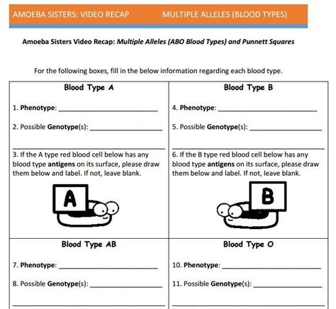 Worksheets are amoeba sisters answer key, amoeba sisters video recap alleles and genes, amoeba sisters video recap dna chromosomes genes and, biology 1 work i selected answers, amoeba sisters video recap introduction to cells, cell reproduction and genetics packet answers. Multiple allele and punnett squares handout made by the Amoeba Sisters. Click to visit website ...