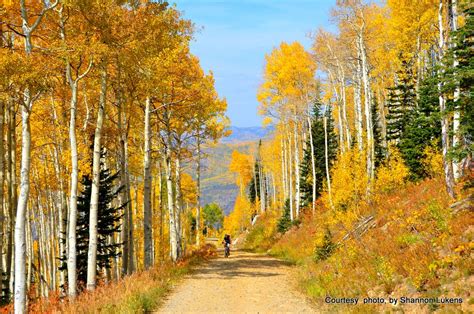 Fall In The Boat Steamboat Springs Colorado Heiditown