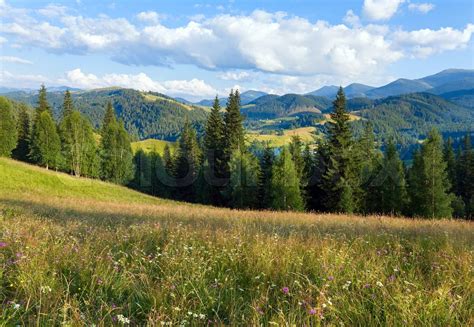 Summer Mountain Landscape With Flowering Grassland In Front Stock