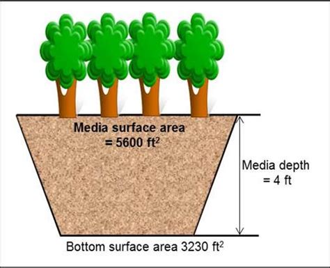 Tree Trenches And Tree Boxes Combined Minnesota Stormwater Manual