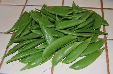Sugar Snap Peas How To Prepare What You Grow