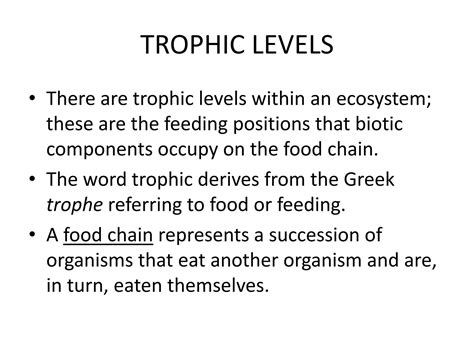 Solution 02 Trophic Levels Studypool