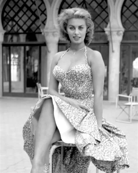 Sophia Loren Legendary Actress And Sex Symbol X Publicity Photo