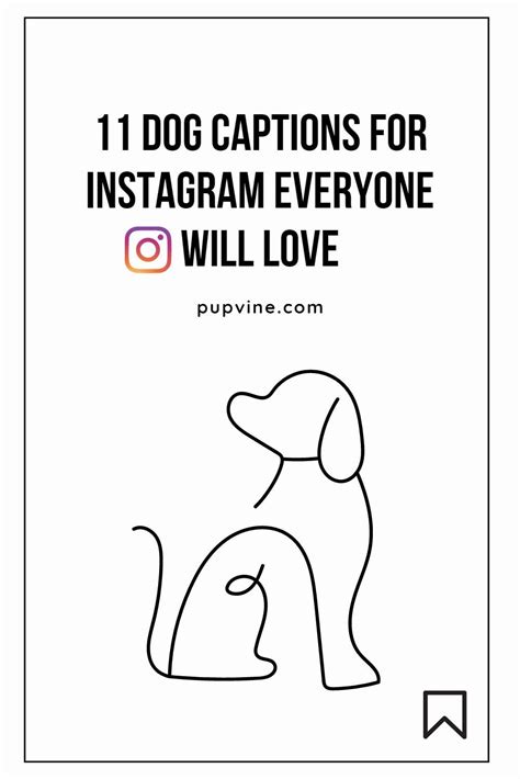 100 Beautiful Dog Captions For Instagram In 2023 Dog Instagram