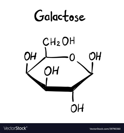 Galactose Molecule Formula Hand Drawn Imitation Vector Image
