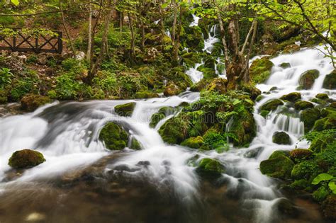 Cascade In The Forest Stock Image Image Of Trees Water 303423
