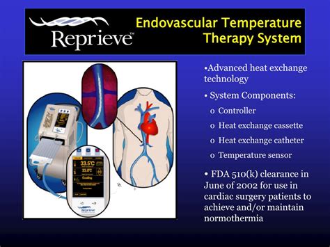 Ppt Introduction To Temperature Therapy And Cooling Powerpoint