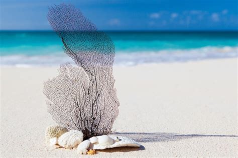 Strand Karibik Blau Kostenloses Foto Auf Pixabay