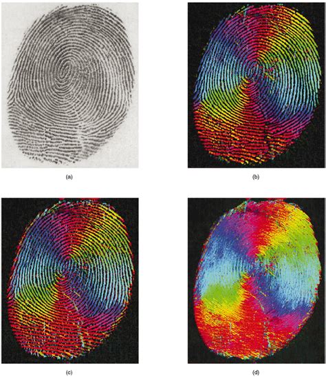 A An Input Fingerprint F B Hir F Local Orientation Using
