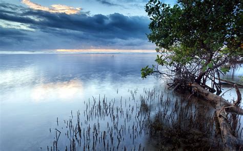 Beautiful Water Views