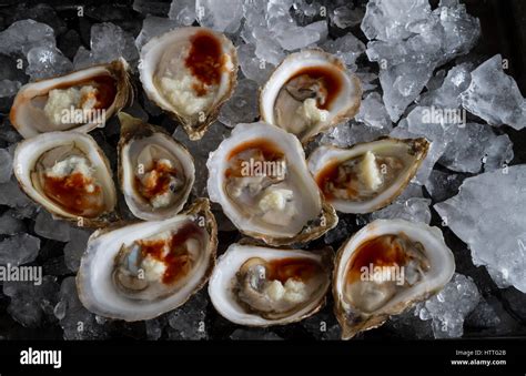 Oysters On The Half Shell Hi Res Stock Photography And Images Alamy