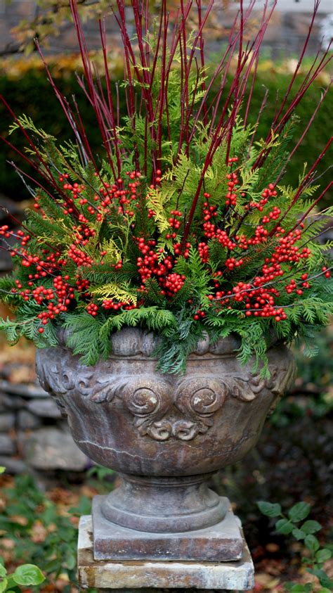 Pin By Wendy Andersen On Christmas Outdoor Holiday Planters Holiday