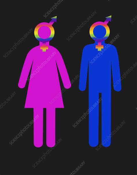 gender and sexuality stock image f031 7086 science photo library