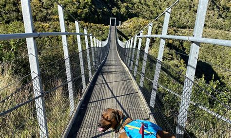Rimutaka Incline Wellington Trail Directory Wild Things