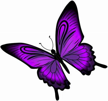 Butterfly Purple Clipart Clip Butterflies Transparent Yopriceville