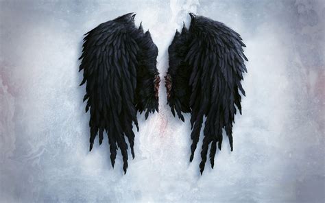 Black Wings Illustration Fantasy Art Artwork Angel Wings Hd