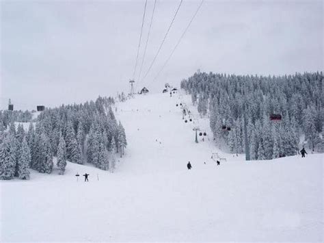 Partia De Ski Ruia Poiana Brasov Obiective Turistice Harta Romaniei