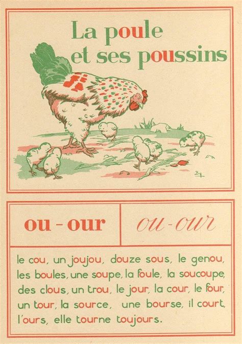 poule in 2020 | Learn french, French speaking activities, French language