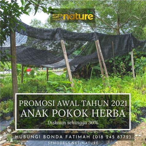 Mendapati bahawa penggunaan rumput beijing / rumput siti khadijah mempunyai kesan postif untuk menurangkan penyakit radang. The Tropical Herbs Plants Nursery | Pengusaha & Pembekal ...