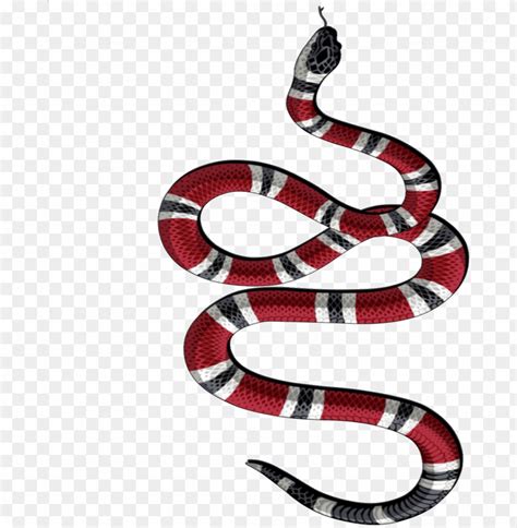 Free Download Hd Png Snake Tattoo Transparent Background Png Gucci