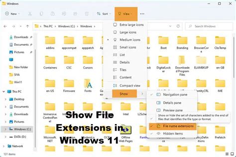 How To Show File Extensions In Windows 11 Vrogue