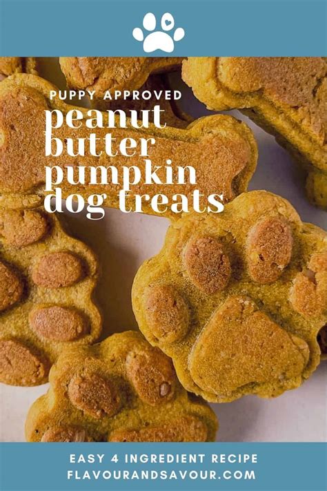 Pumpkin Peanut Butter Dog Treats Gluten Free Flavour And Savour