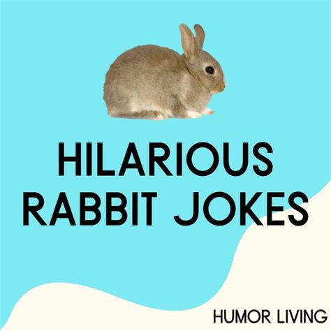 85 Hilarious Rabbit Jokes To Make You Hop With Laughter Humor Living