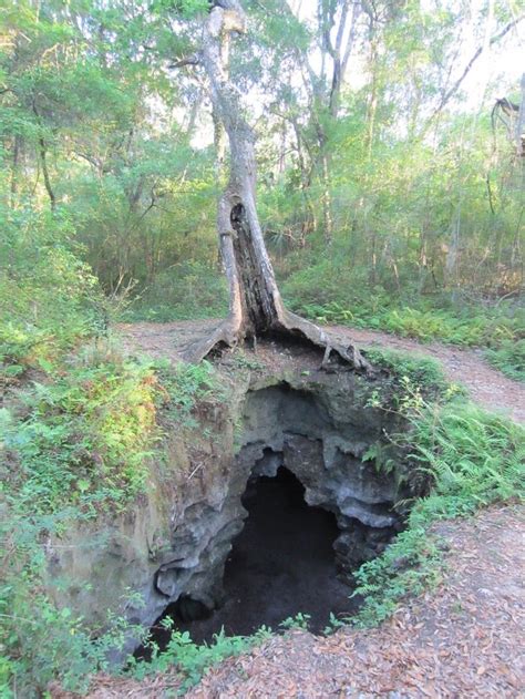 You Must See These Secret Caves Hidden In Central Florida