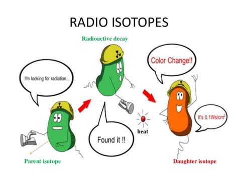 Isotopes are atom families that have the same number of protons, but different numbers of neutrons. Definition of radiometric dating in biology