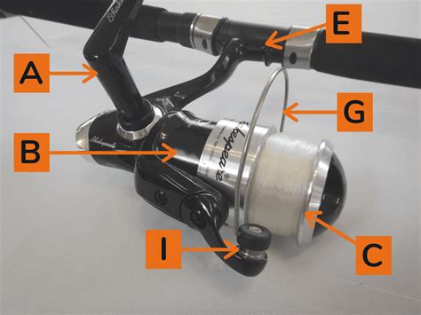 What Are The Parts Of A Spinning Reel Orbit Fishing