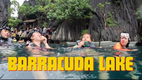 Barracuda Lake Coron Palawan Youtube