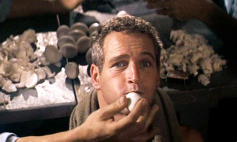 We love films so much, that film description: Cool Hand Luke (1967) - One classic scene after another ...