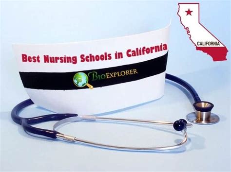 Top 10 Best Nursing Schools In California Bioexplorernet