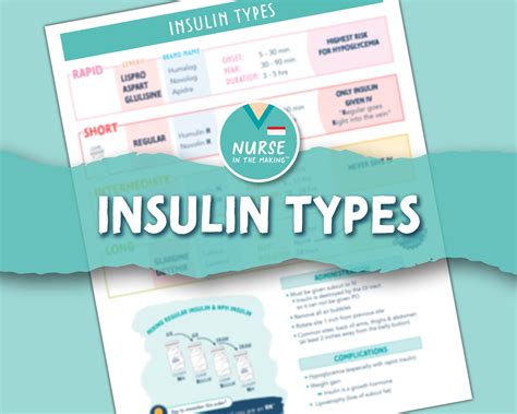 Insulin Types Cheat Sheet Pharmacology Nursing Notes Etsy