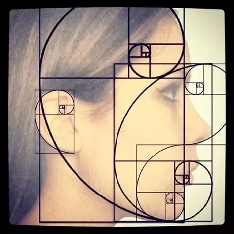 what are interesting facts about the golden ratio quora