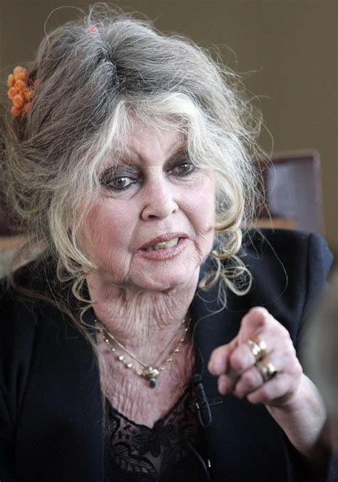 brigitte bardot completa 81 anos lembrada pela beleza e amor aos animais